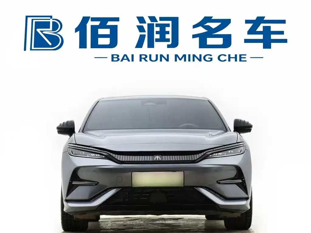BYD L EV — миниатюра 2