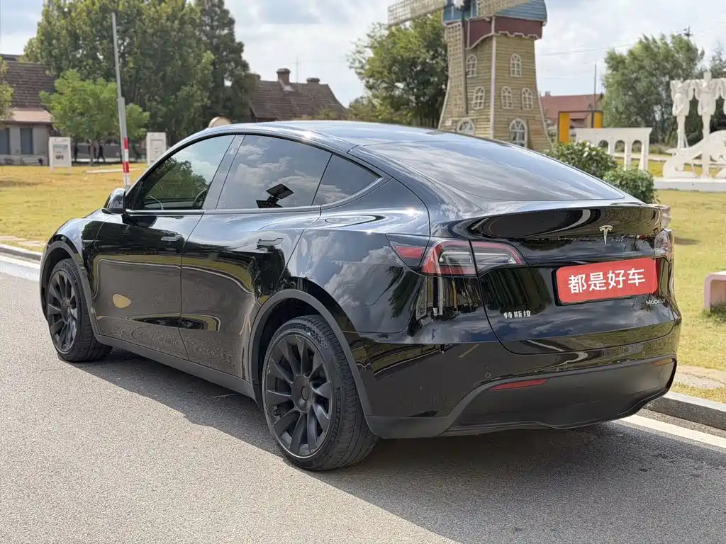 Tesla Model Y — миниатюра 9