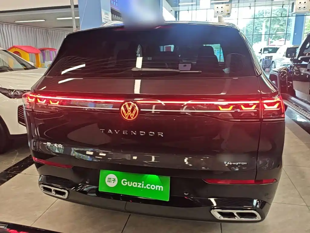 Volkswagen Tavendor — миниатюра 6