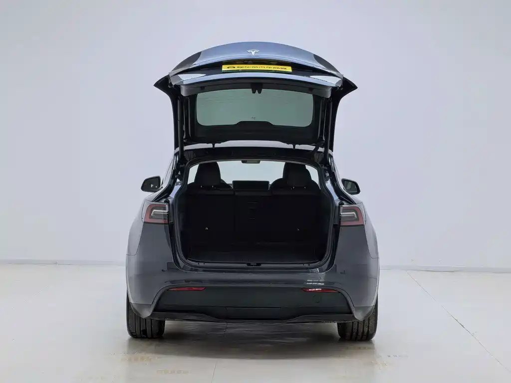 Tesla Model Y — миниатюра 11