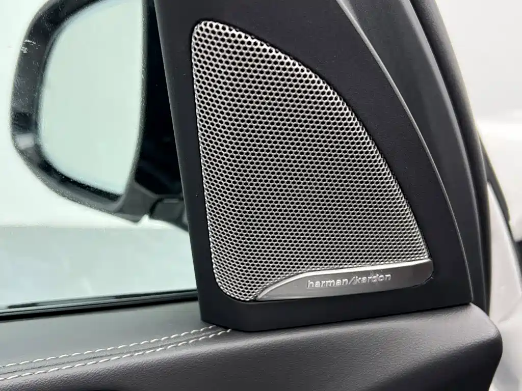 BMW X5 — миниатюра 13