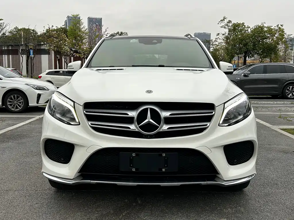 Mercedes-Benz GLE 2019 GLE 320 4MATIC Luxury