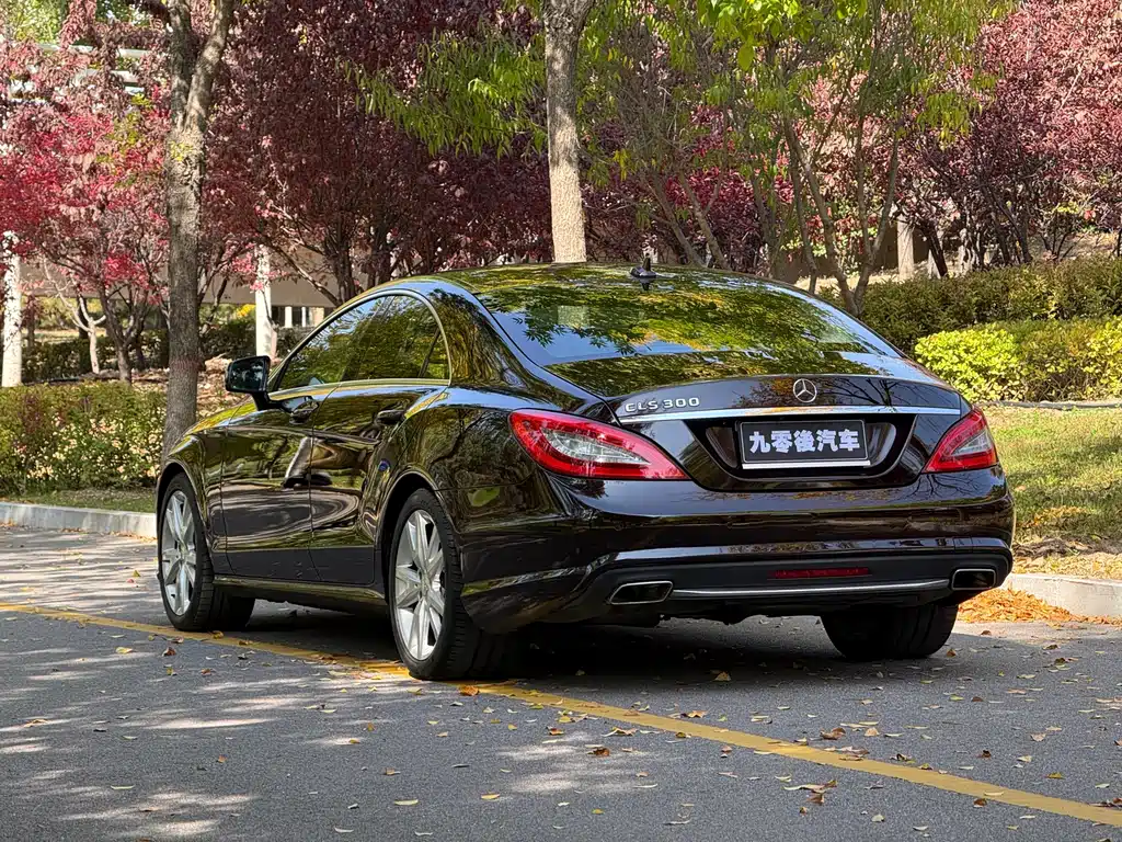 Mercedes-Benz CLS — миниатюра 10