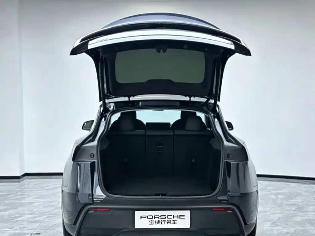 Tesla Model Y — миниатюра 7