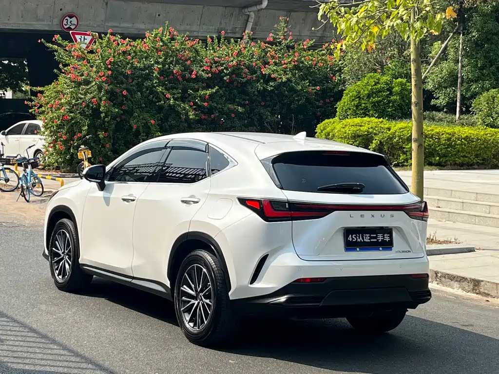 Lexus NX — миниатюра 4