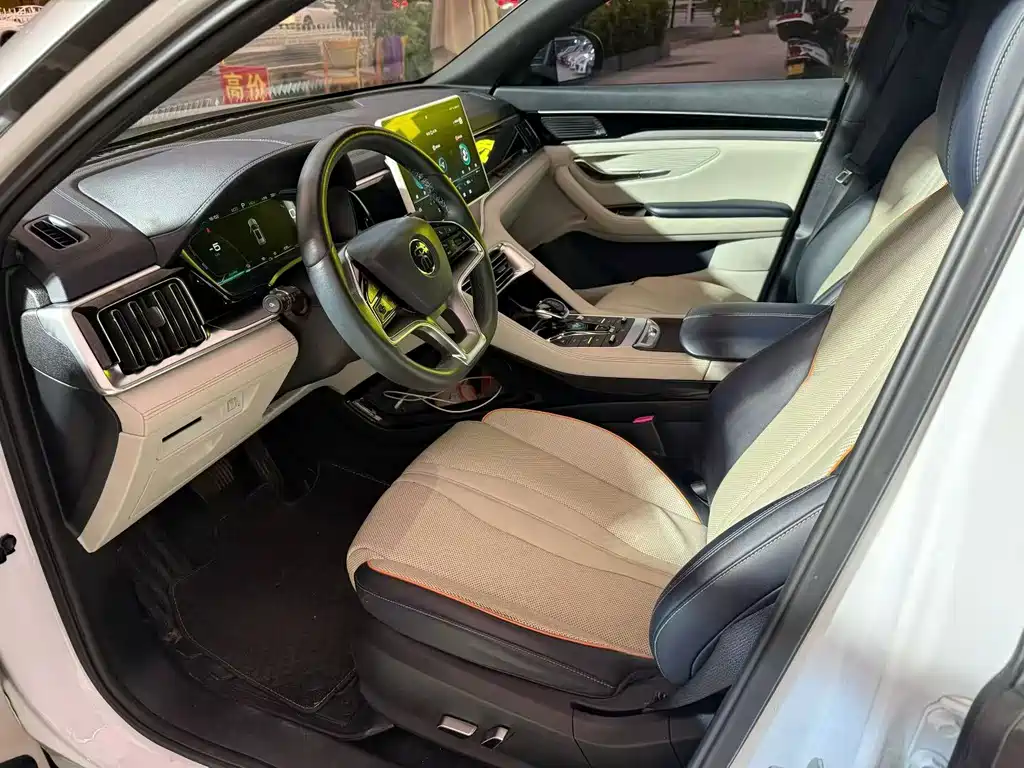 BYD PLUS — миниатюра 5