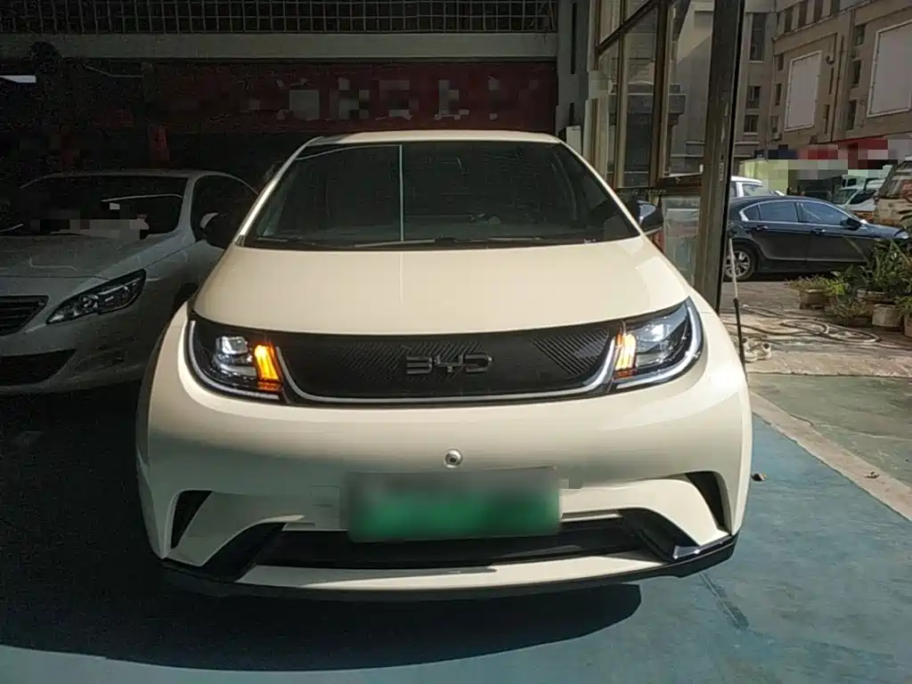 BYD Dolphin — миниатюра 3