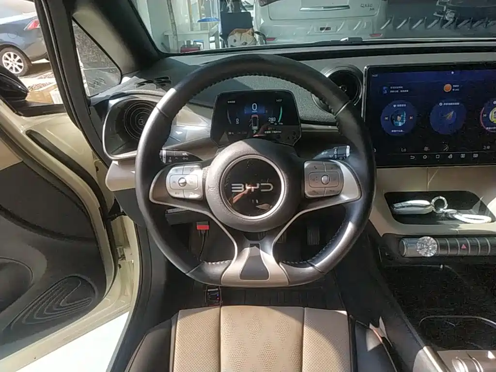 BYD Dolphin — миниатюра 11