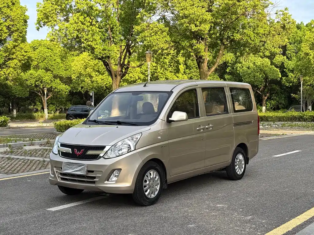 Wuling Rongguang V 2019