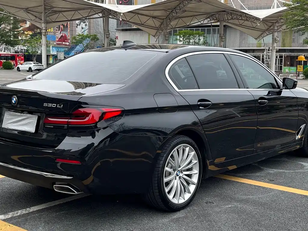 BMW 5 Series 5 2021 530Li Premium Luxury