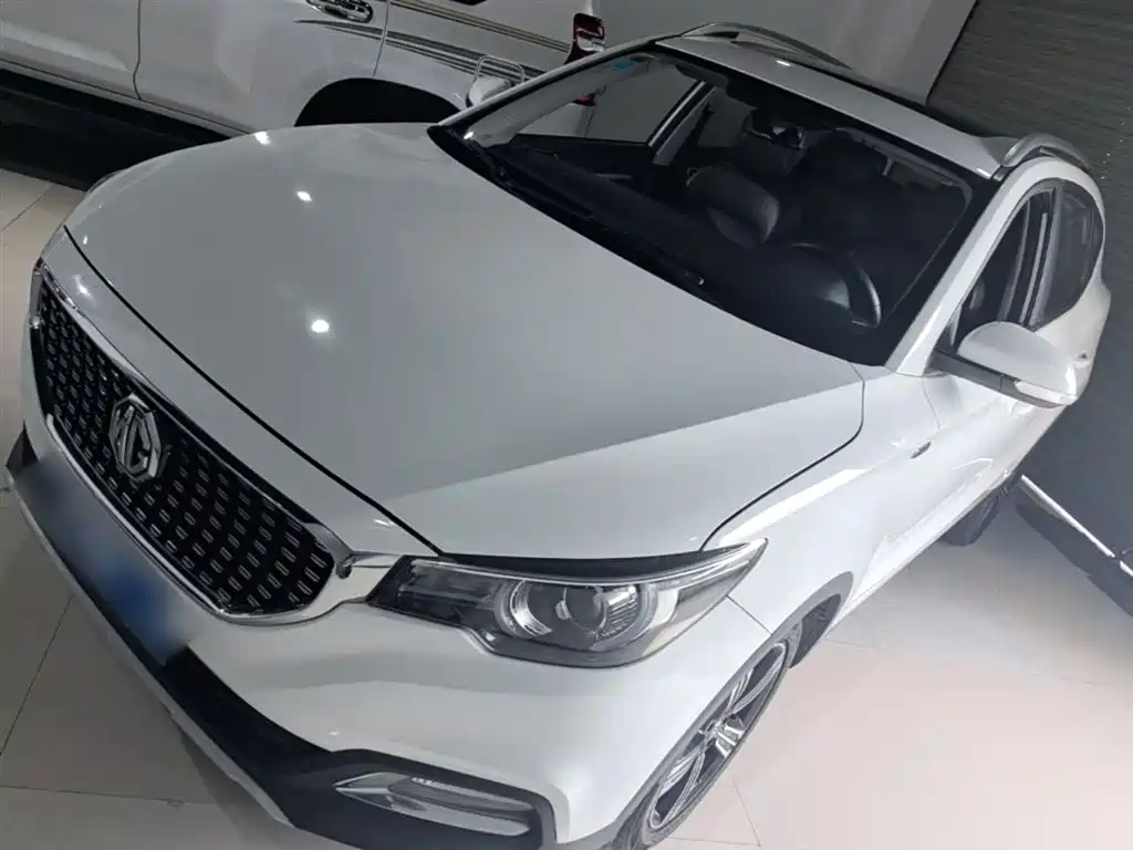 Mg ZS 2019