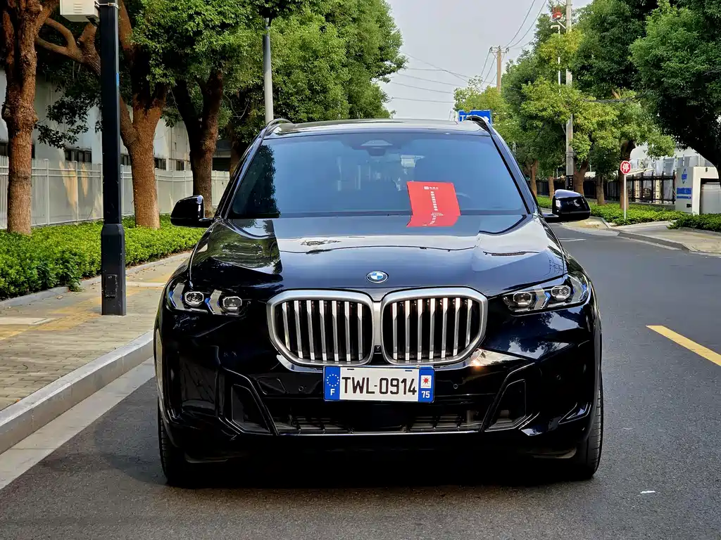 BMW X5 — миниатюра 2
