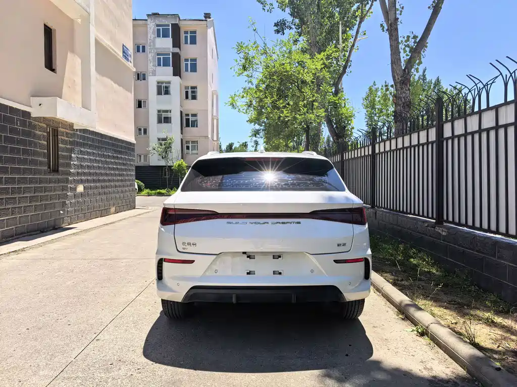 BYD E2 2021 Luxury
