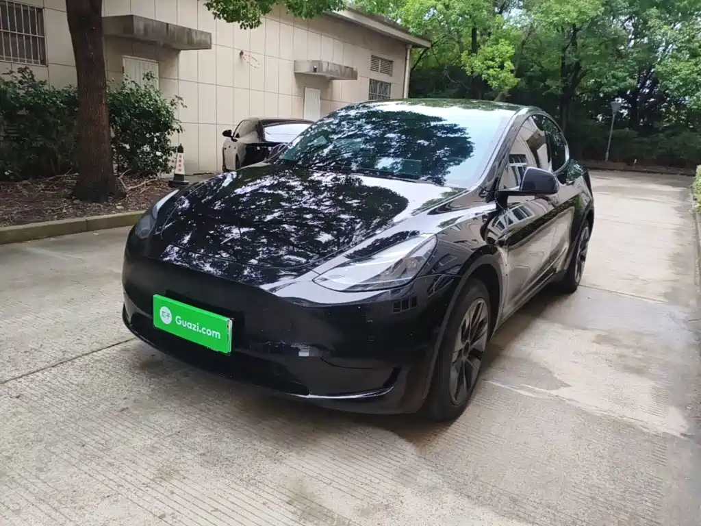 Tesla Model Y — миниатюра 2