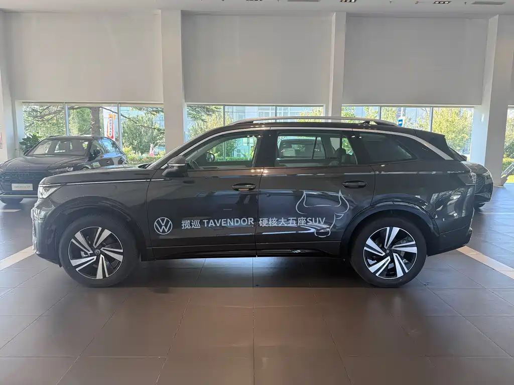Volkswagen Tavendor — миниатюра 4