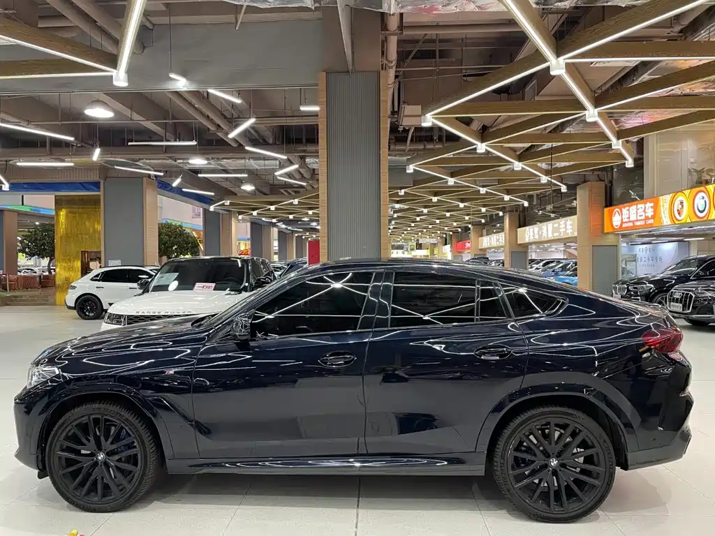 BMW X6 — миниатюра 13