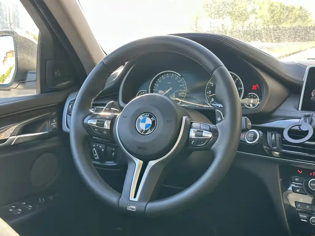BMW X6 — миниатюра 32