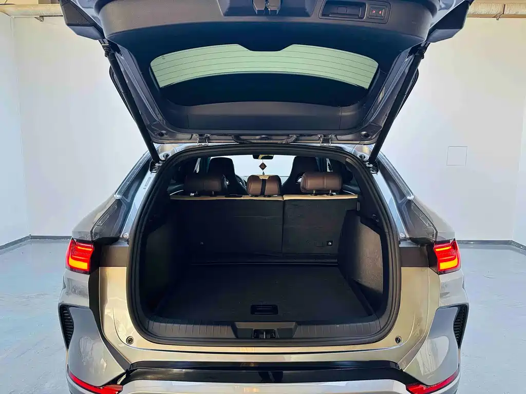 BYD SONGJIANG NEW ENERGY