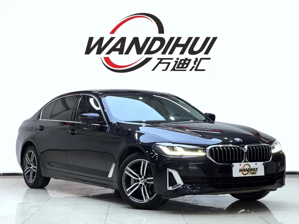 BMW 5 Series 5 2021 530Li Lead Luxury