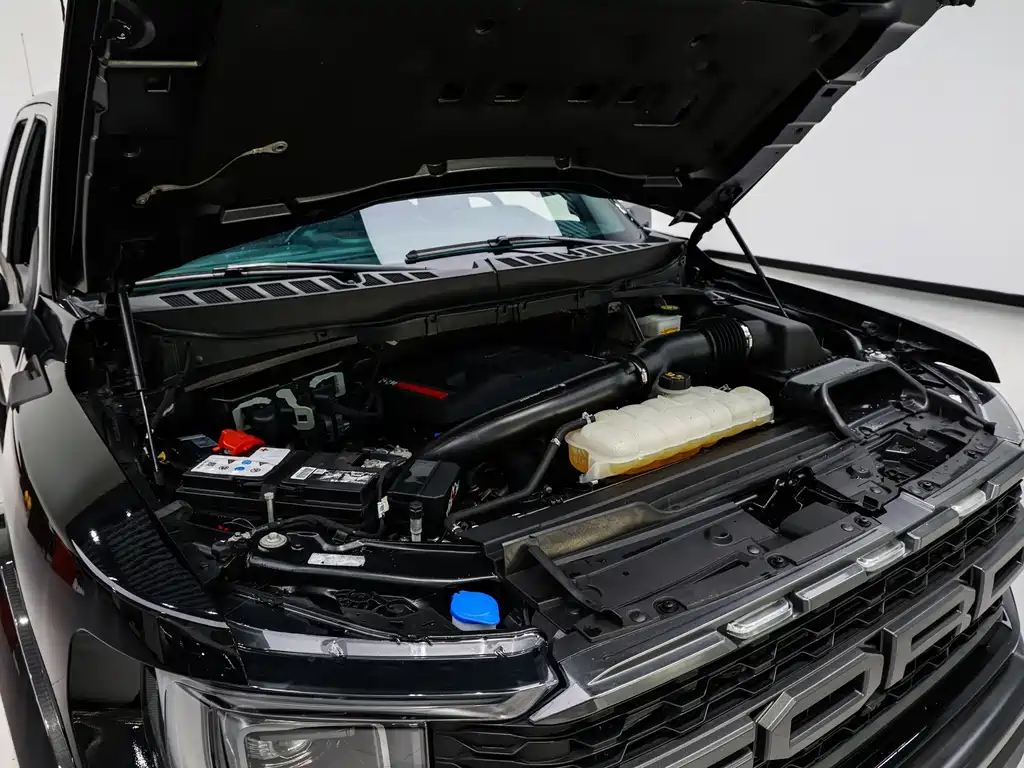 Ford F-150 Raptor — миниатюра 21