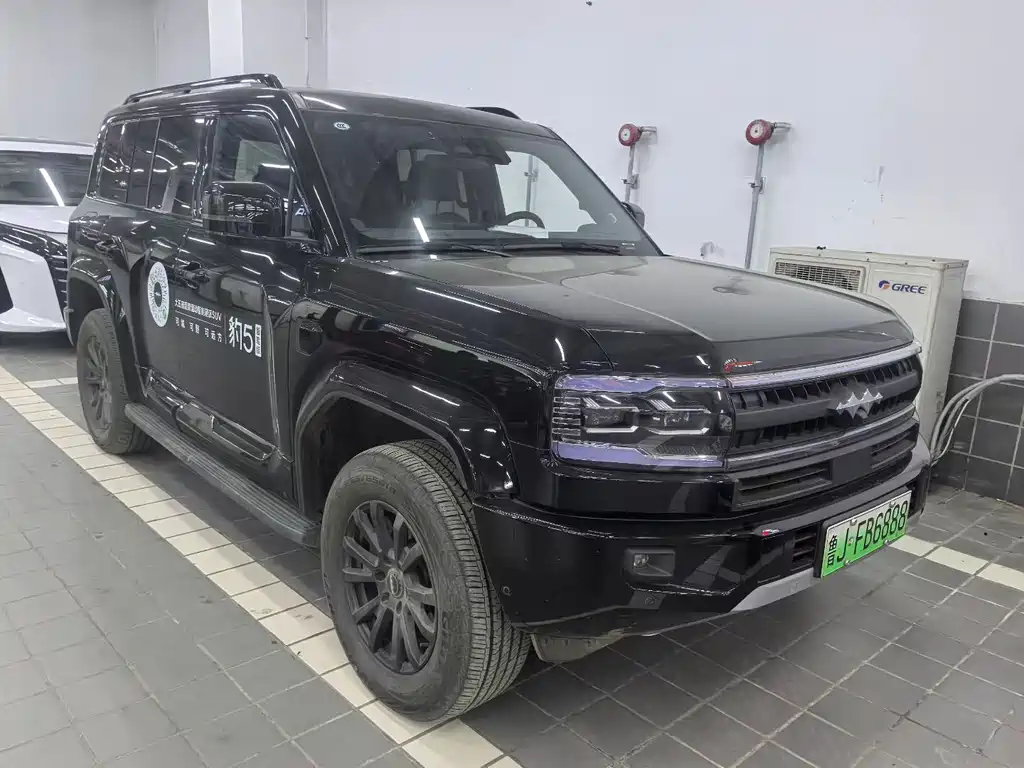 FANG CHENG BAO LEOPARD 5