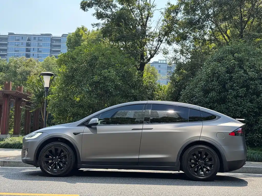 Tesla Model X — миниатюра 6