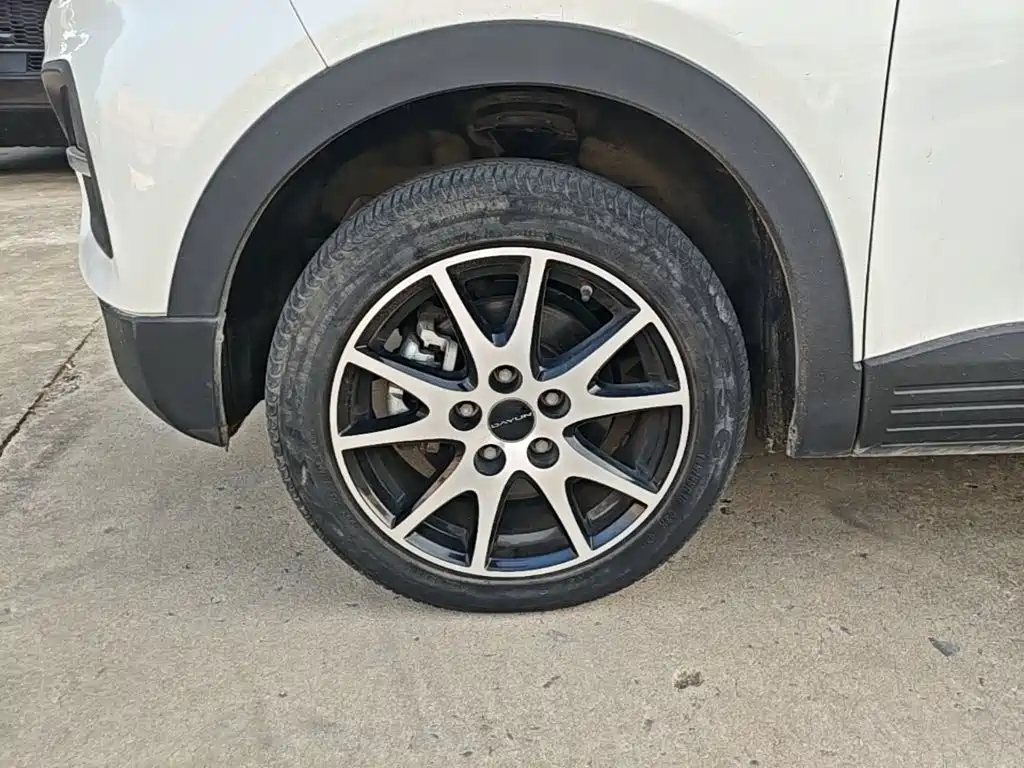 Dayun Yuehu — миниатюра 23