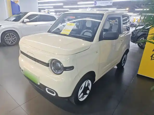 2025 Geely LC (Panda)