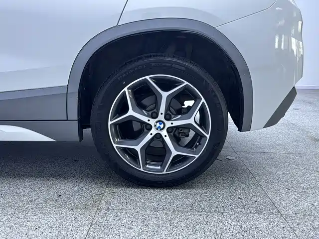 BMW X2 (Import) — миниатюра 19