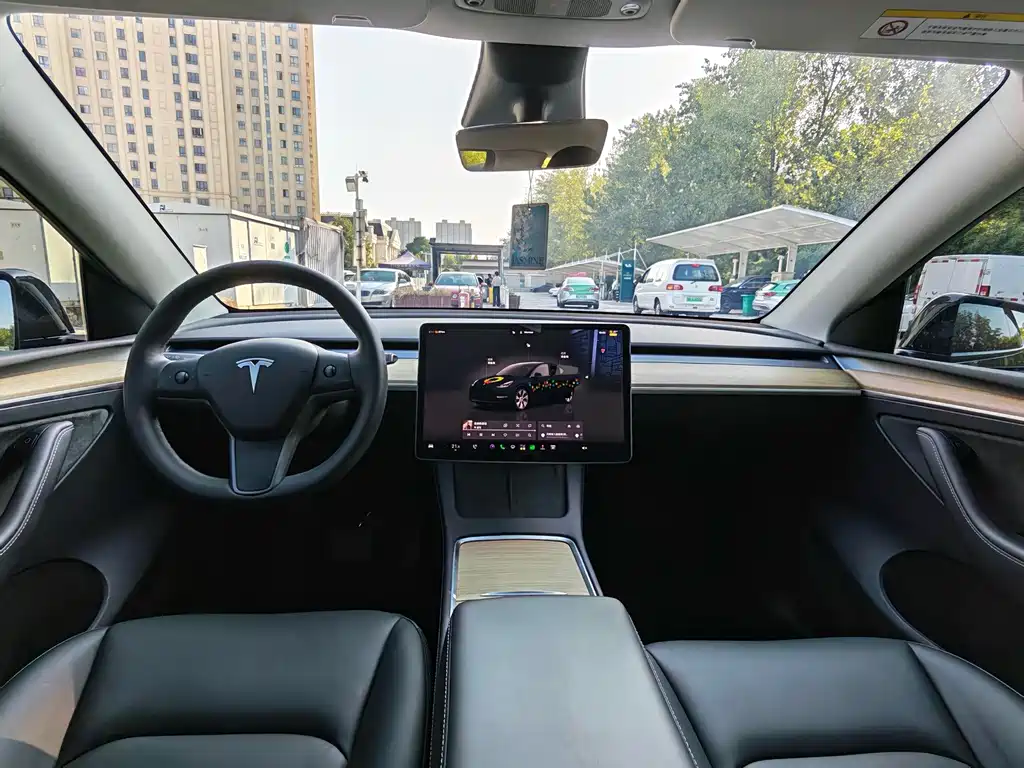 Tesla Model Y — миниатюра 4