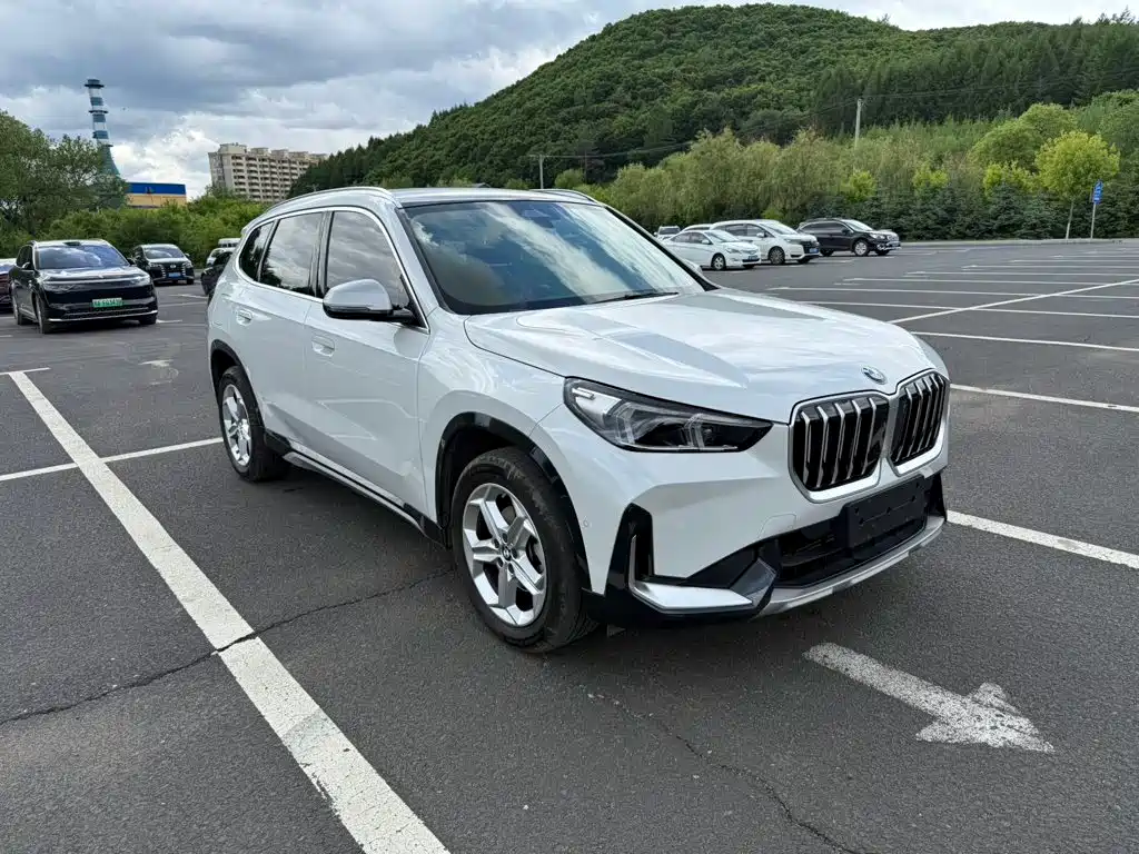 BMW X1 — миниатюра 3