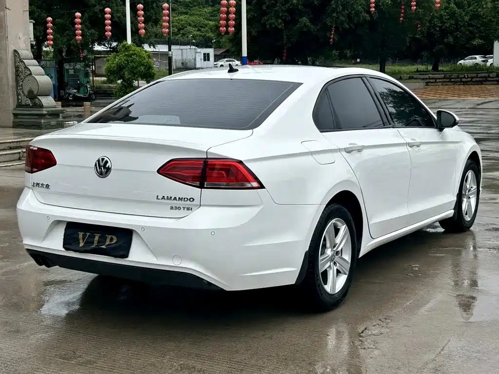 Volkswagen Lamando — миниатюра 4