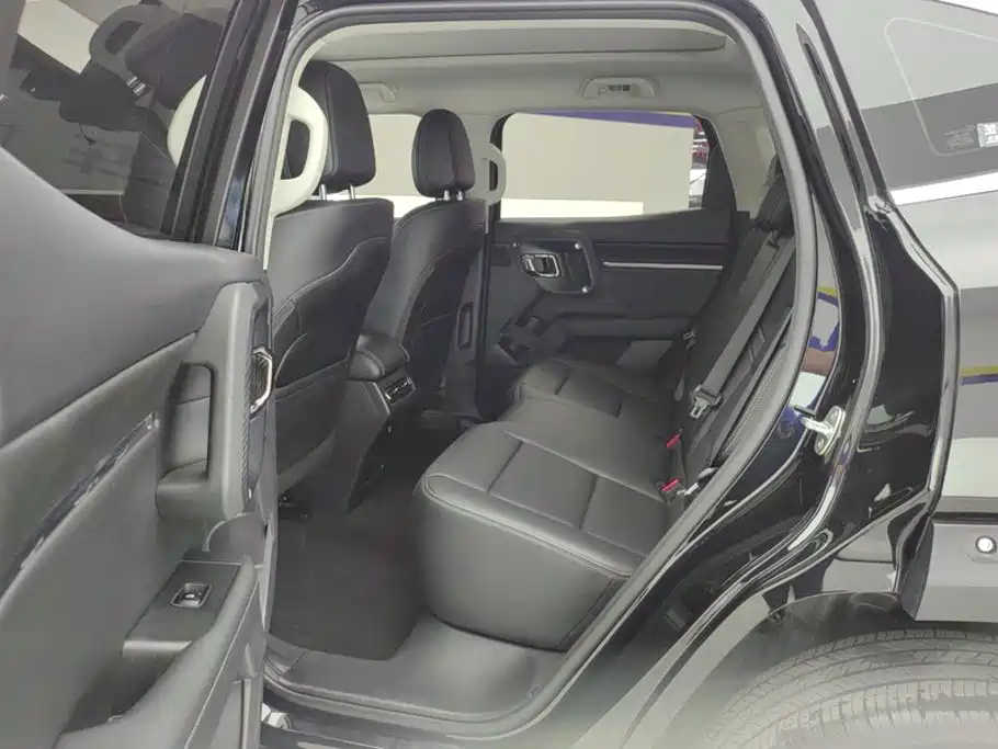Haval Big Dog PLUS — миниатюра 11