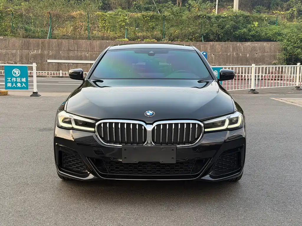 BMW 5 Series — миниатюра 2