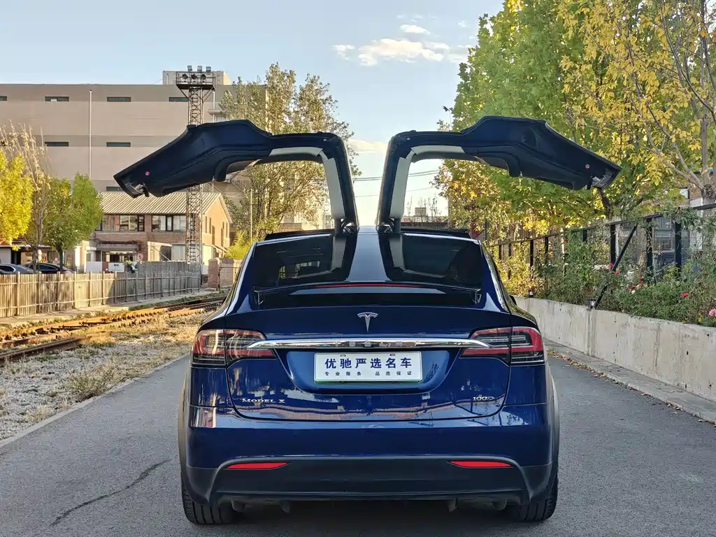 Tesla Model X — миниатюра 10