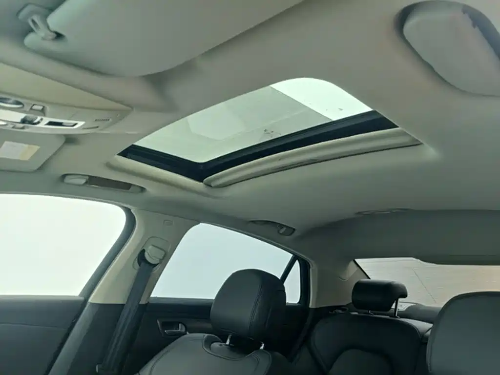 DS DS 5LS — миниатюра 7