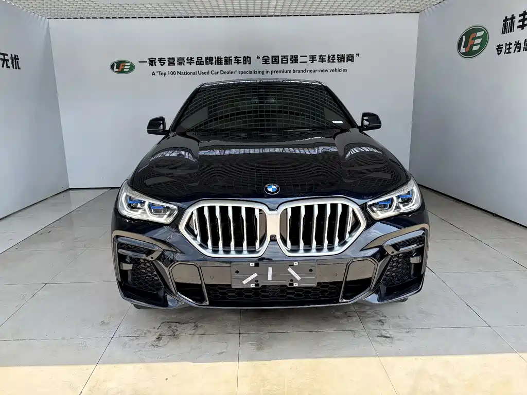 BMW X6 — миниатюра 2