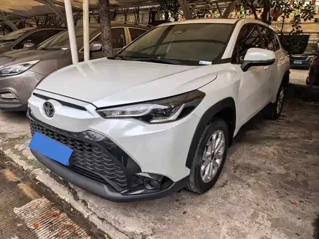 TOYOTA FENGLANDA 2023