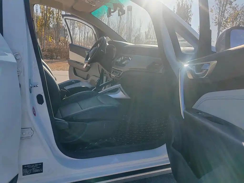 RUILAN AUTOMOBILE MAPLE LEAF 30X