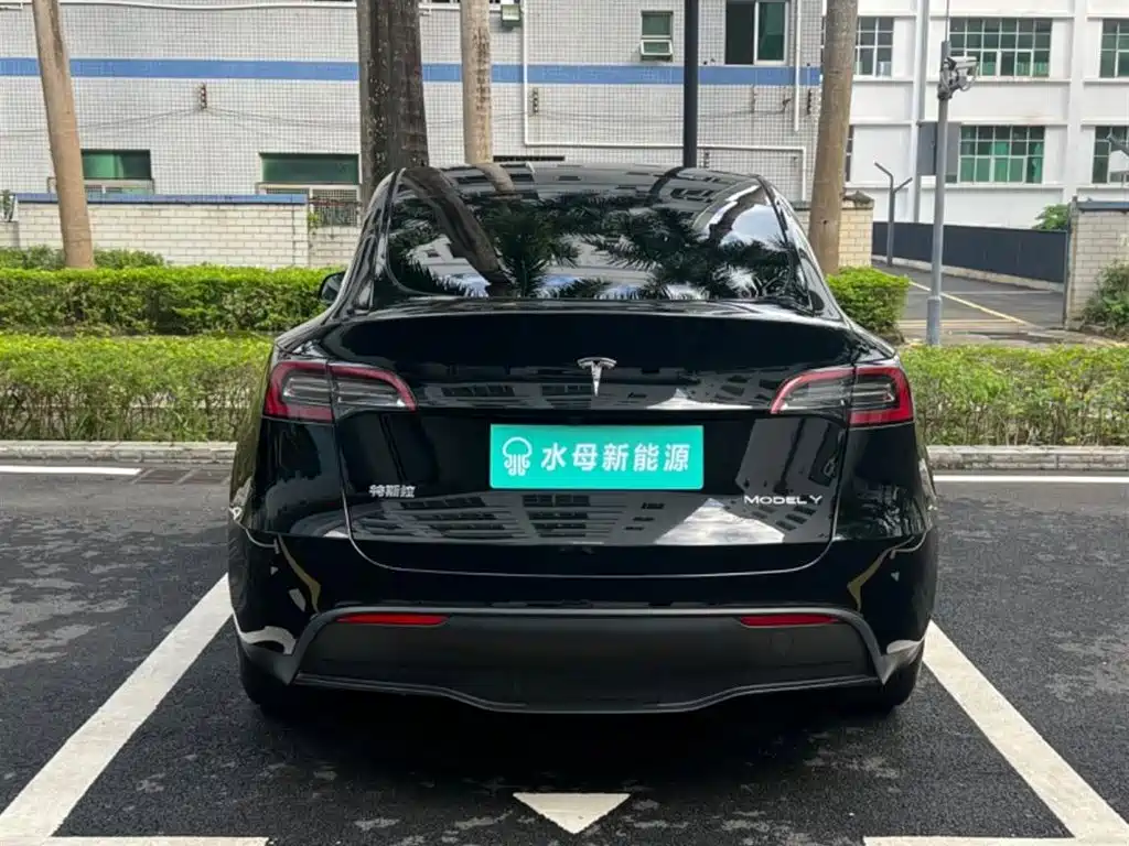 Tesla Model Y — миниатюра 7