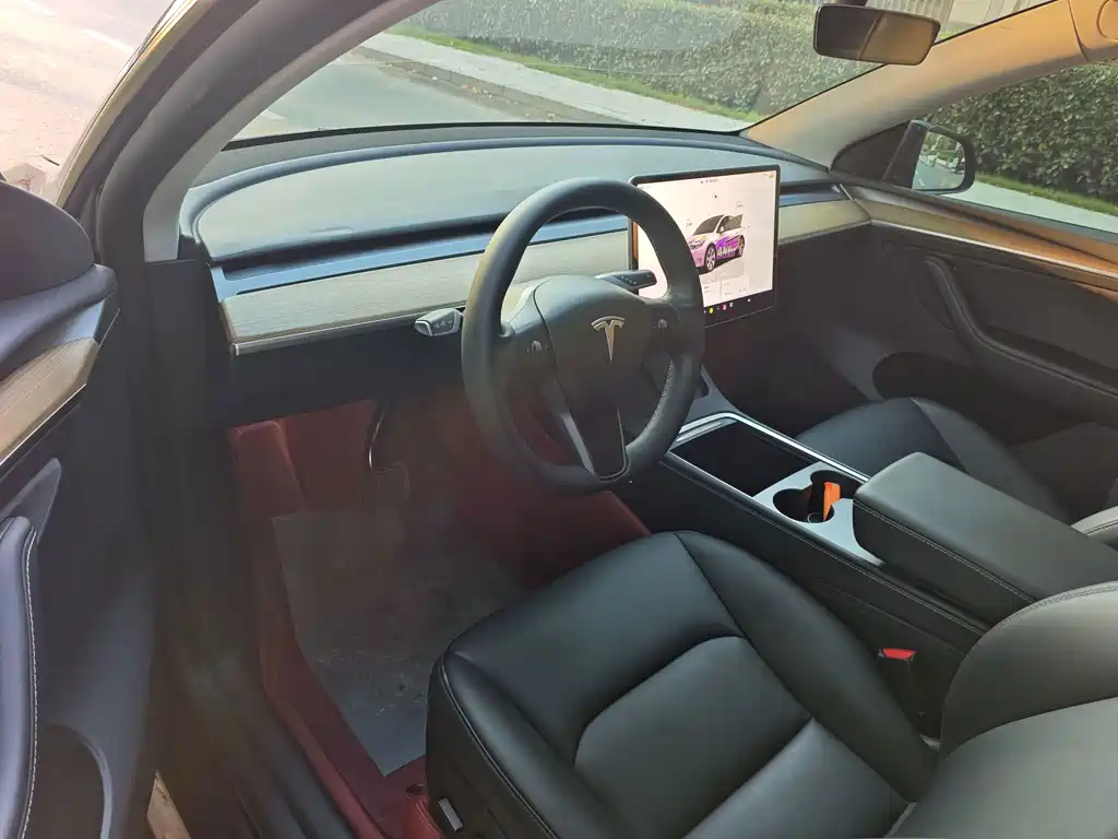 Tesla Model Y — миниатюра 4