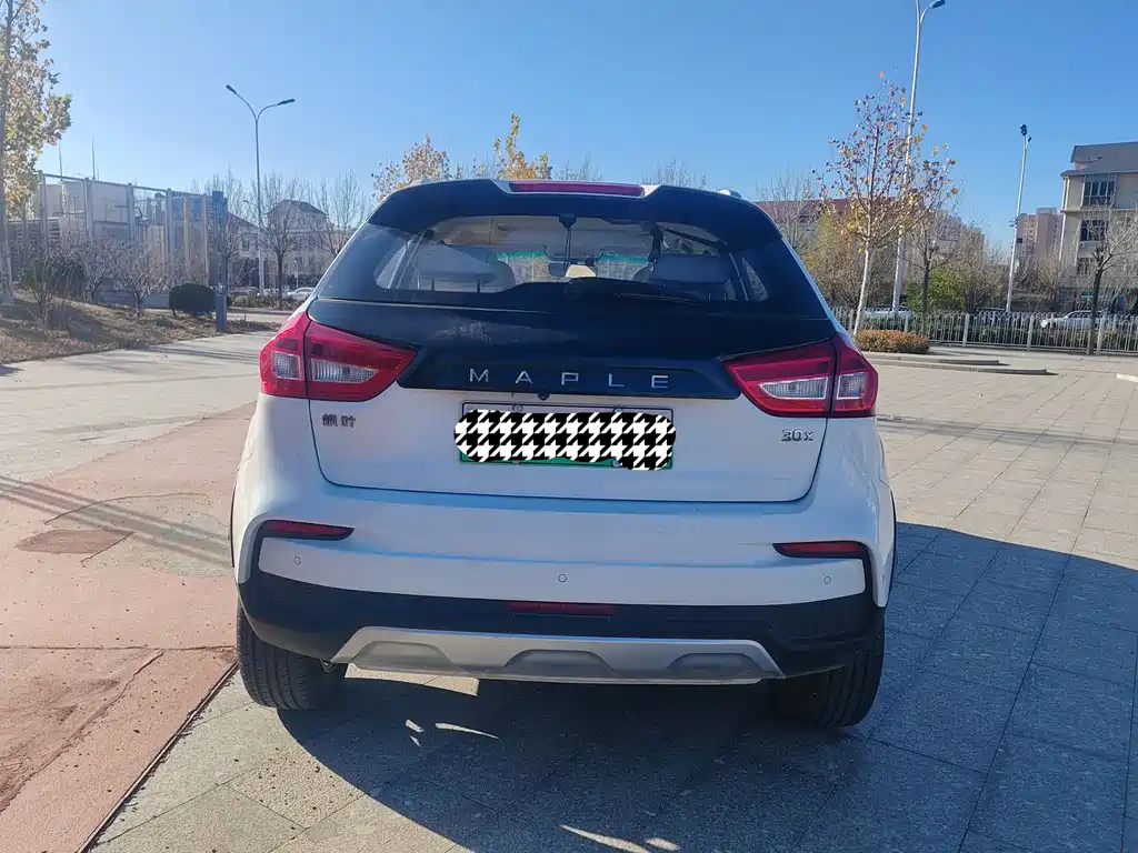 RUILAN AUTOMOBILE MAPLE LEAF 30X