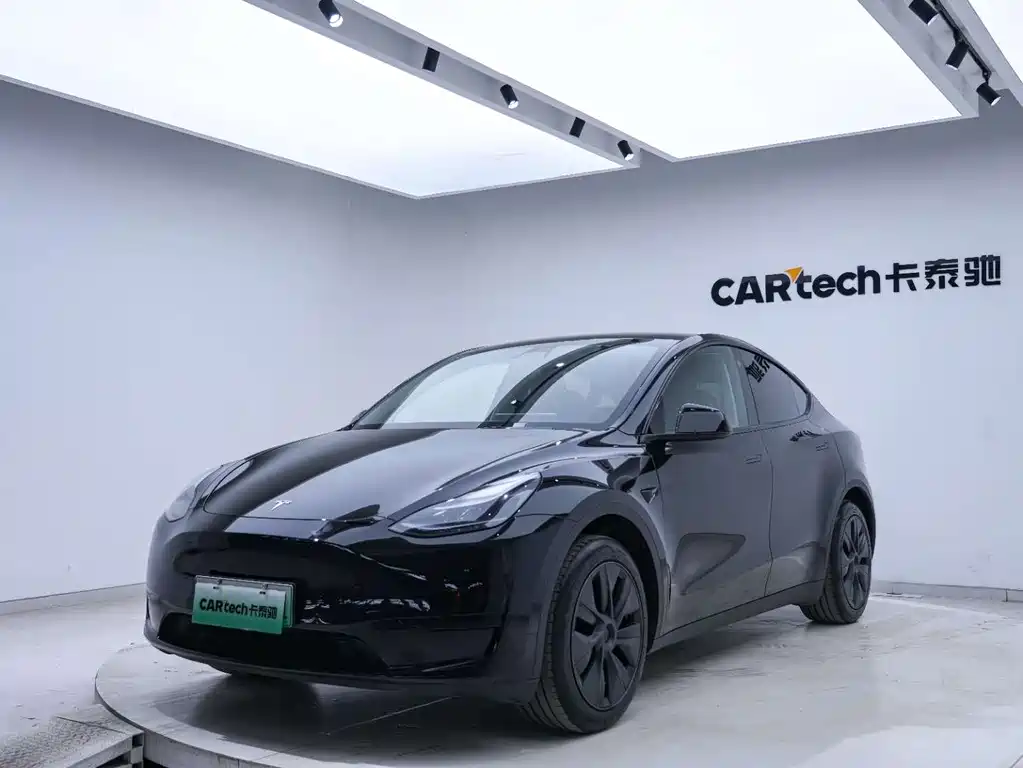 Tesla Model Y — миниатюра 8