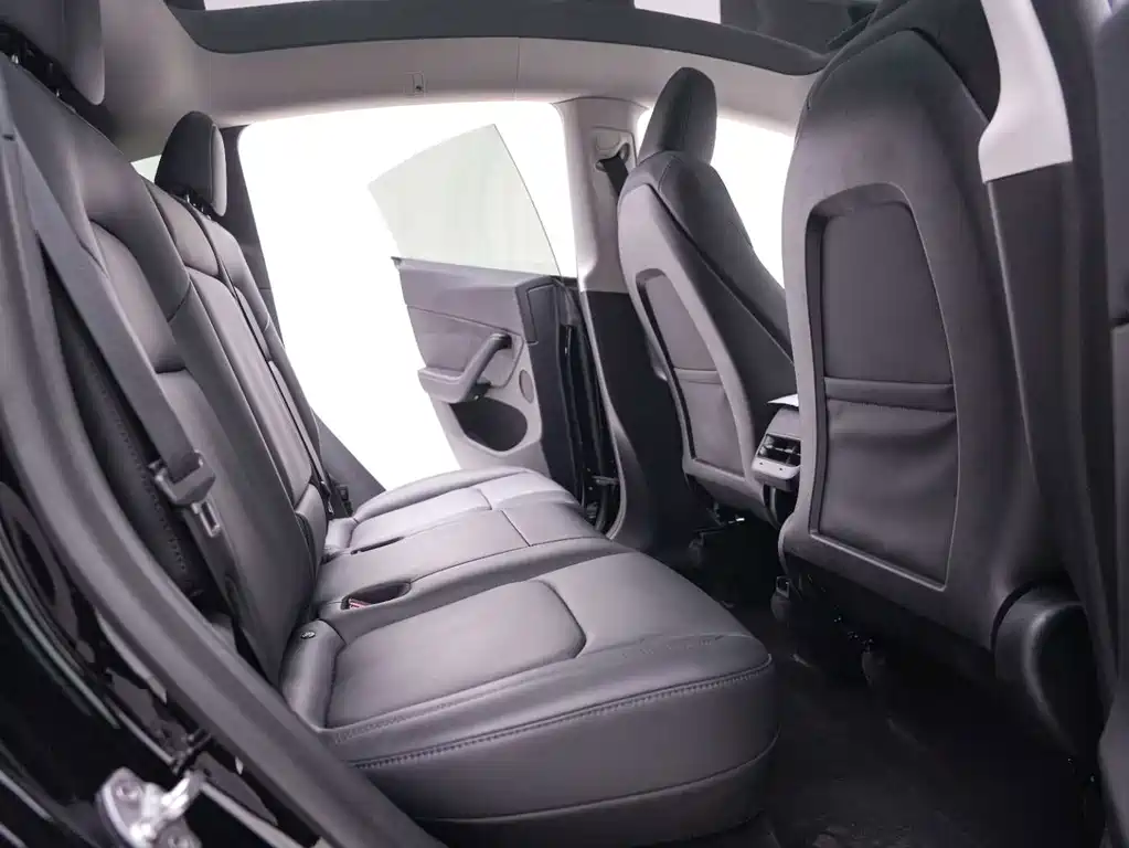 Tesla Model Y — миниатюра 26