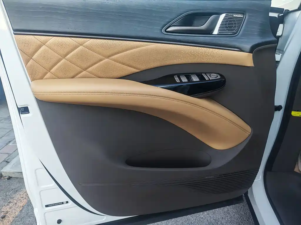 Denza Denza D9 — миниатюра 5
