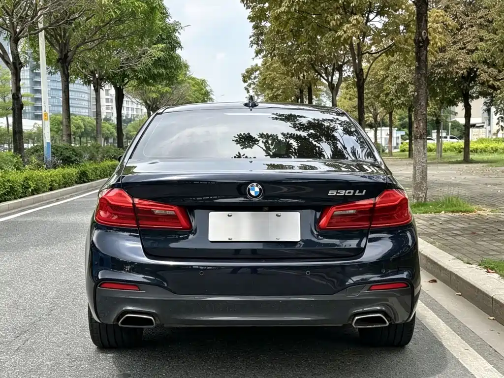 BMW 5 Series — миниатюра 15
