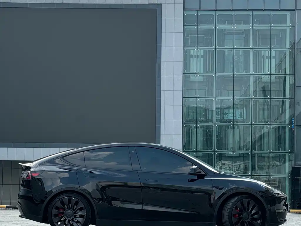 Tesla Model Y — миниатюра 5
