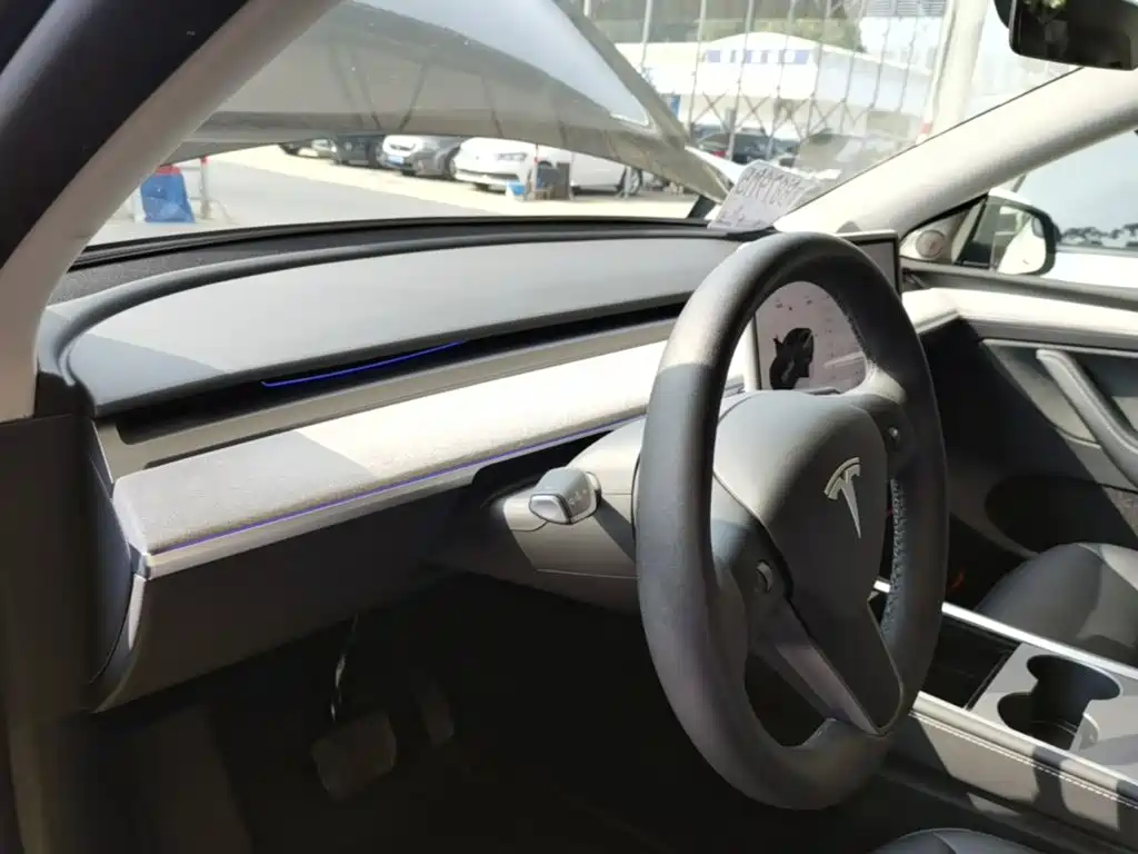 Tesla Model Y — миниатюра 10