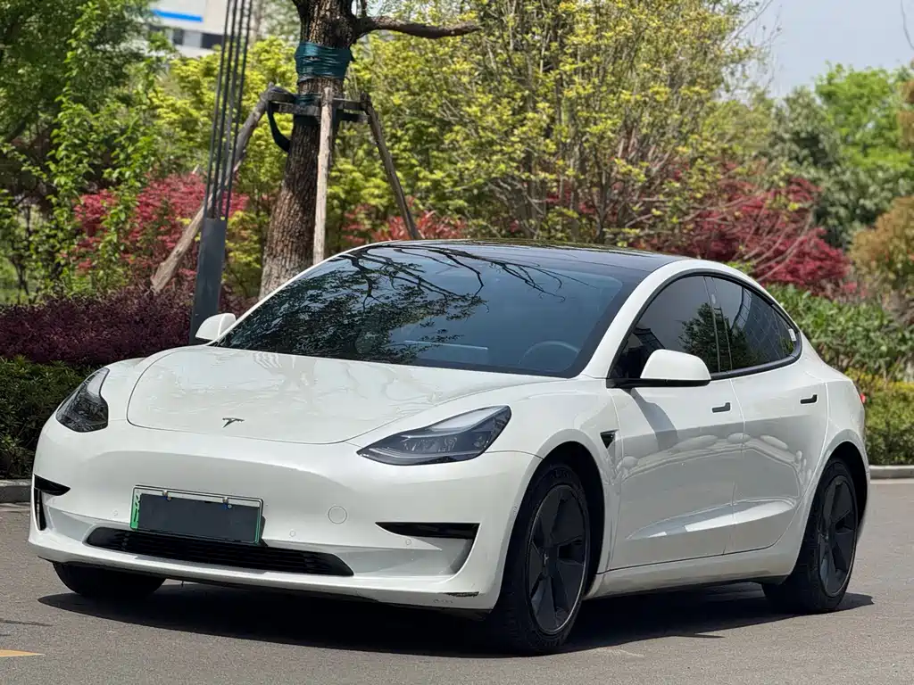 Tesla Model 3 2021