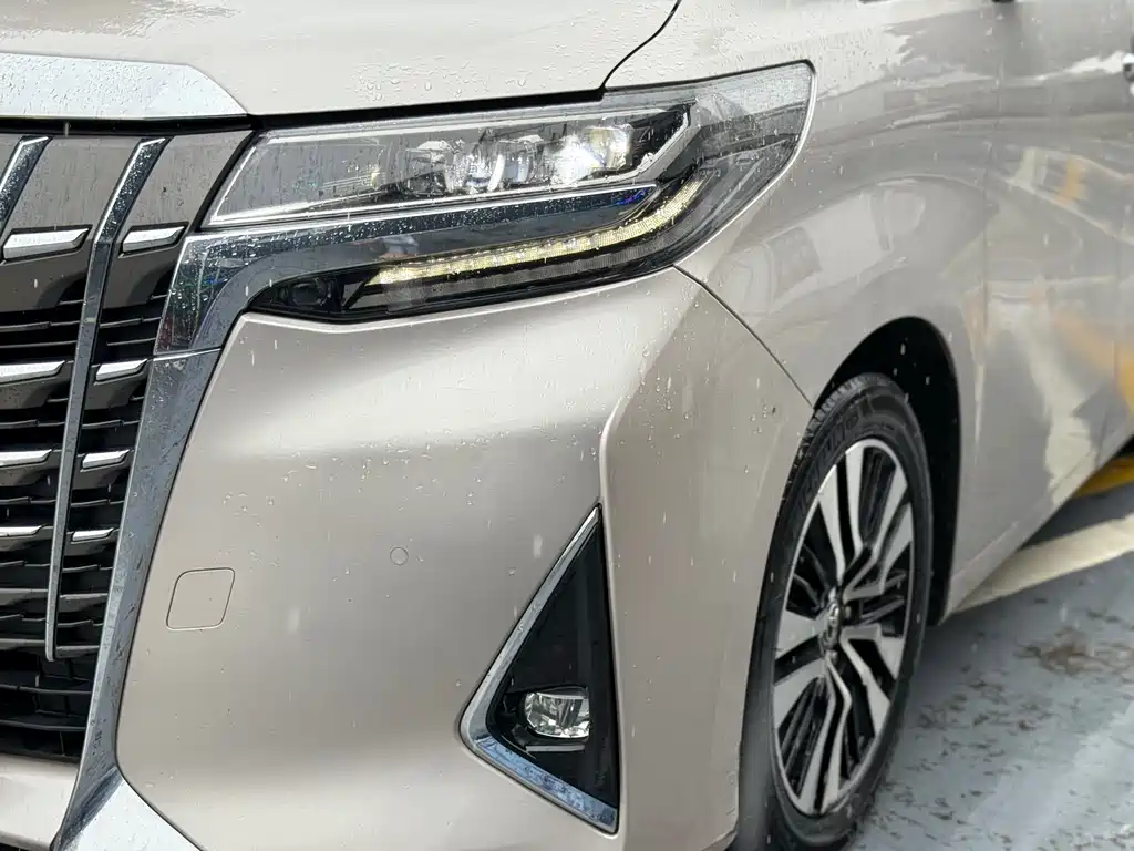 Toyota Alphard - фото 16